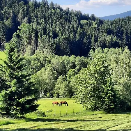 شقة Little Lucky Hope Ranch