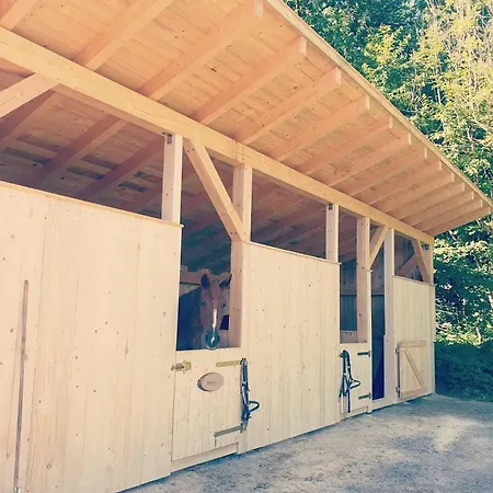 Little Lucky Hope Ranch Apartament
